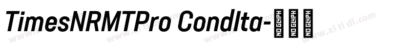 TimesNRMTPro CondIta字体转换